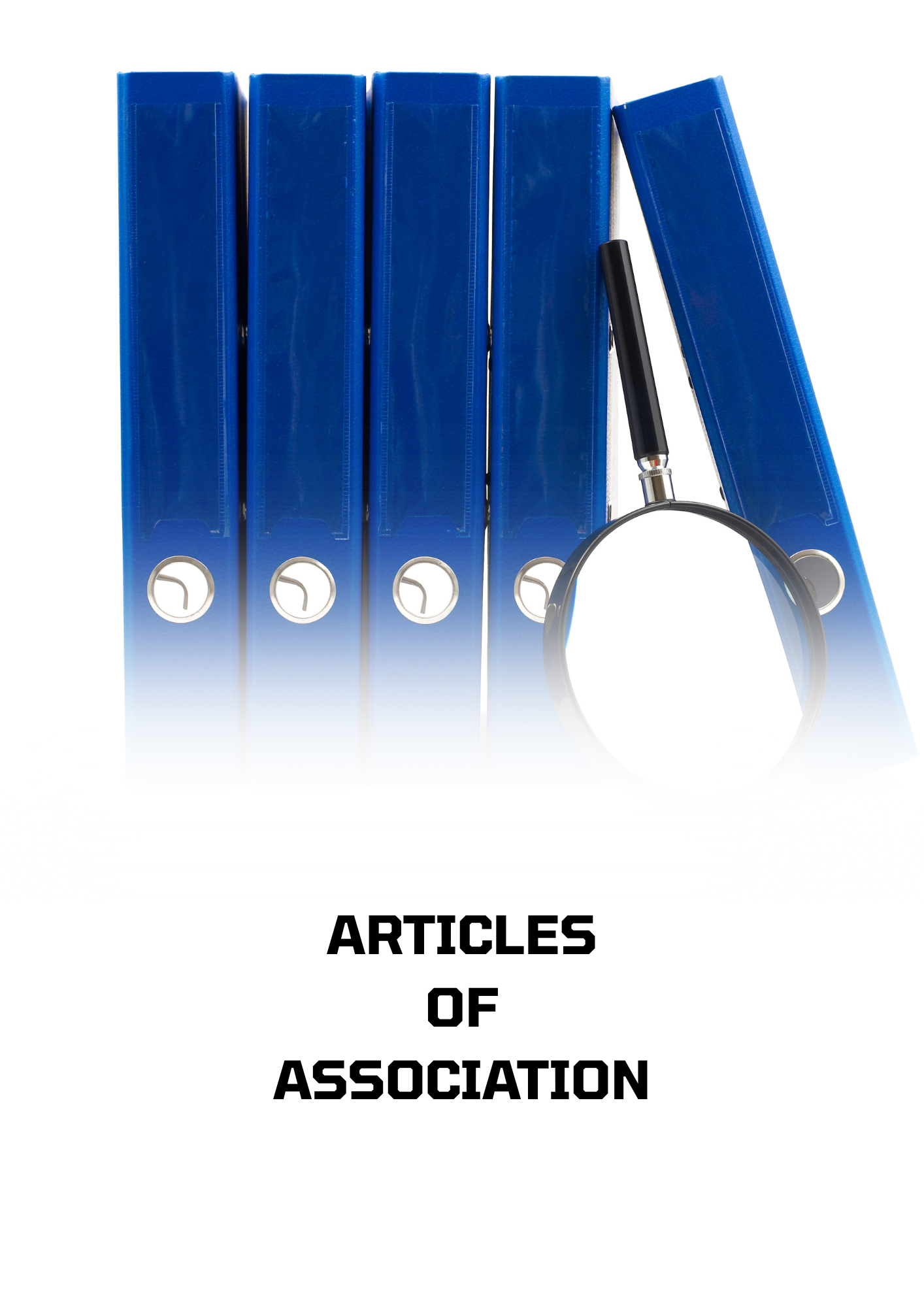 ARTICLES OF ASSOCIATION