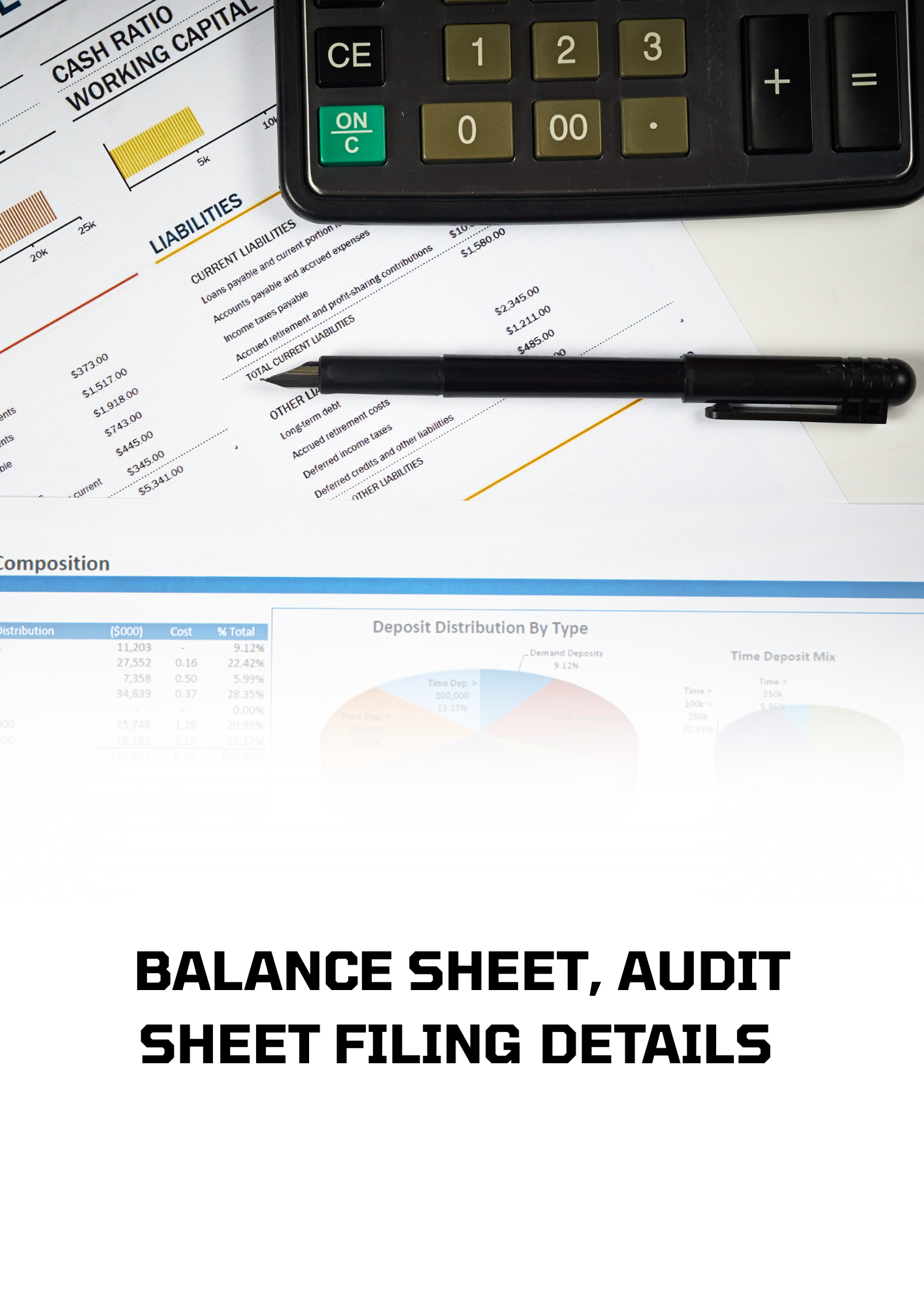 BALANCE SHEET, AUDIT SHEET FILING DETAILS