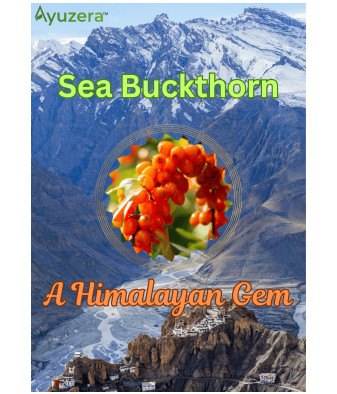 A Himalayan Gem