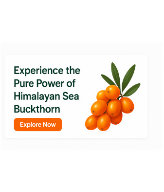 Start Your Wellness Journey